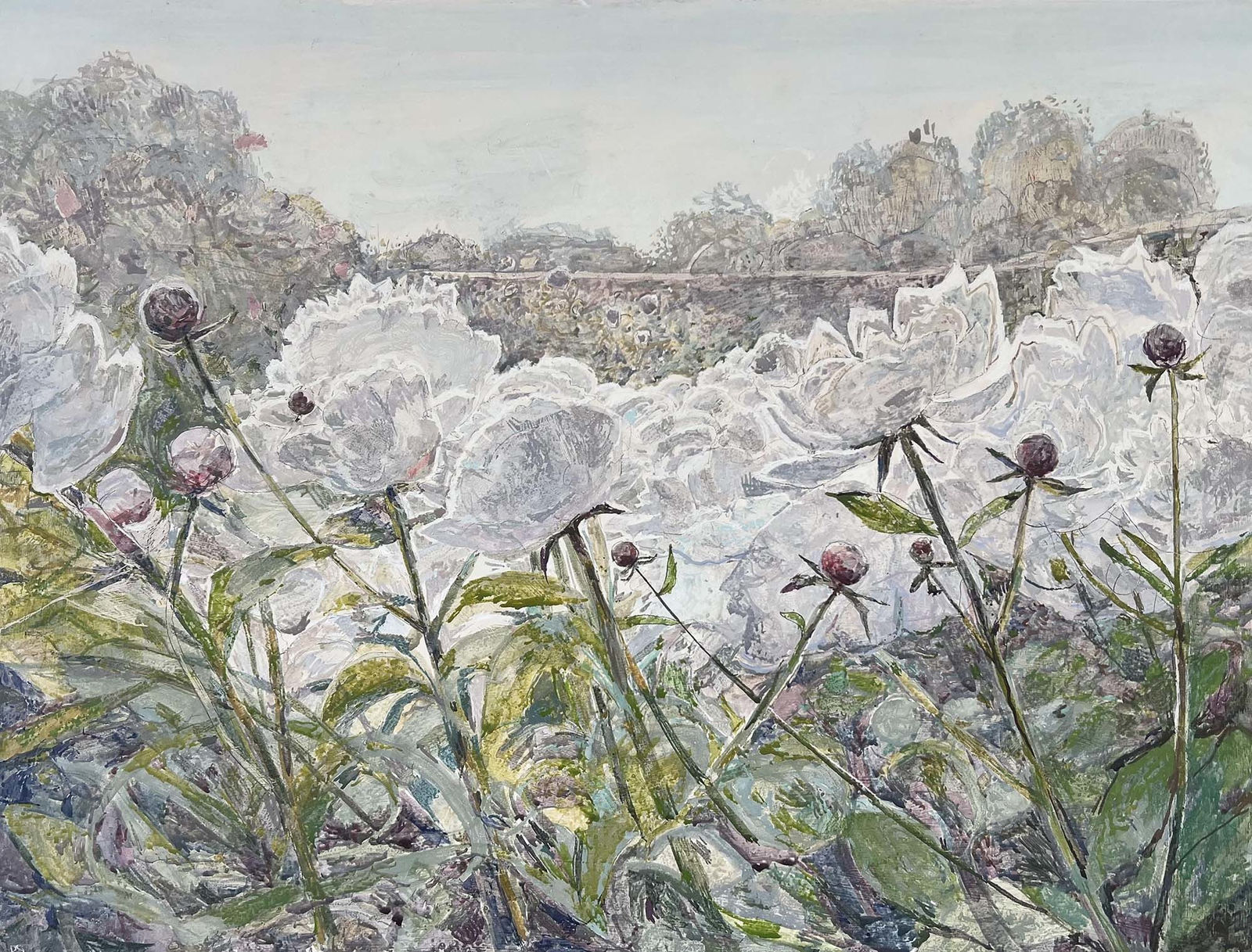 Ruth Stage, Summer Peonies