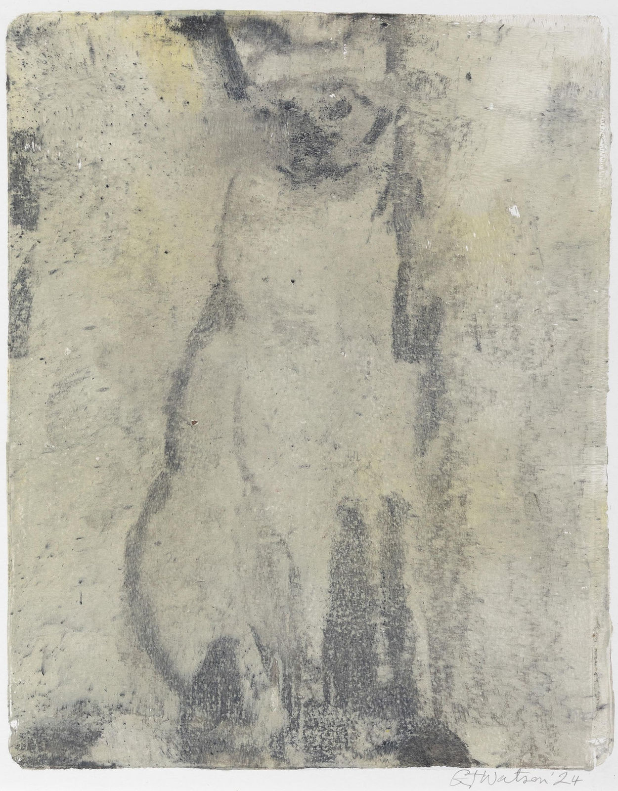 Grant Watson, Cat Study