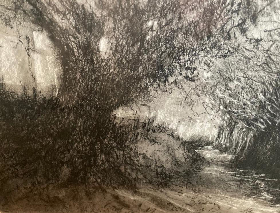 Lucinda Stephens, Dark Woods to Light