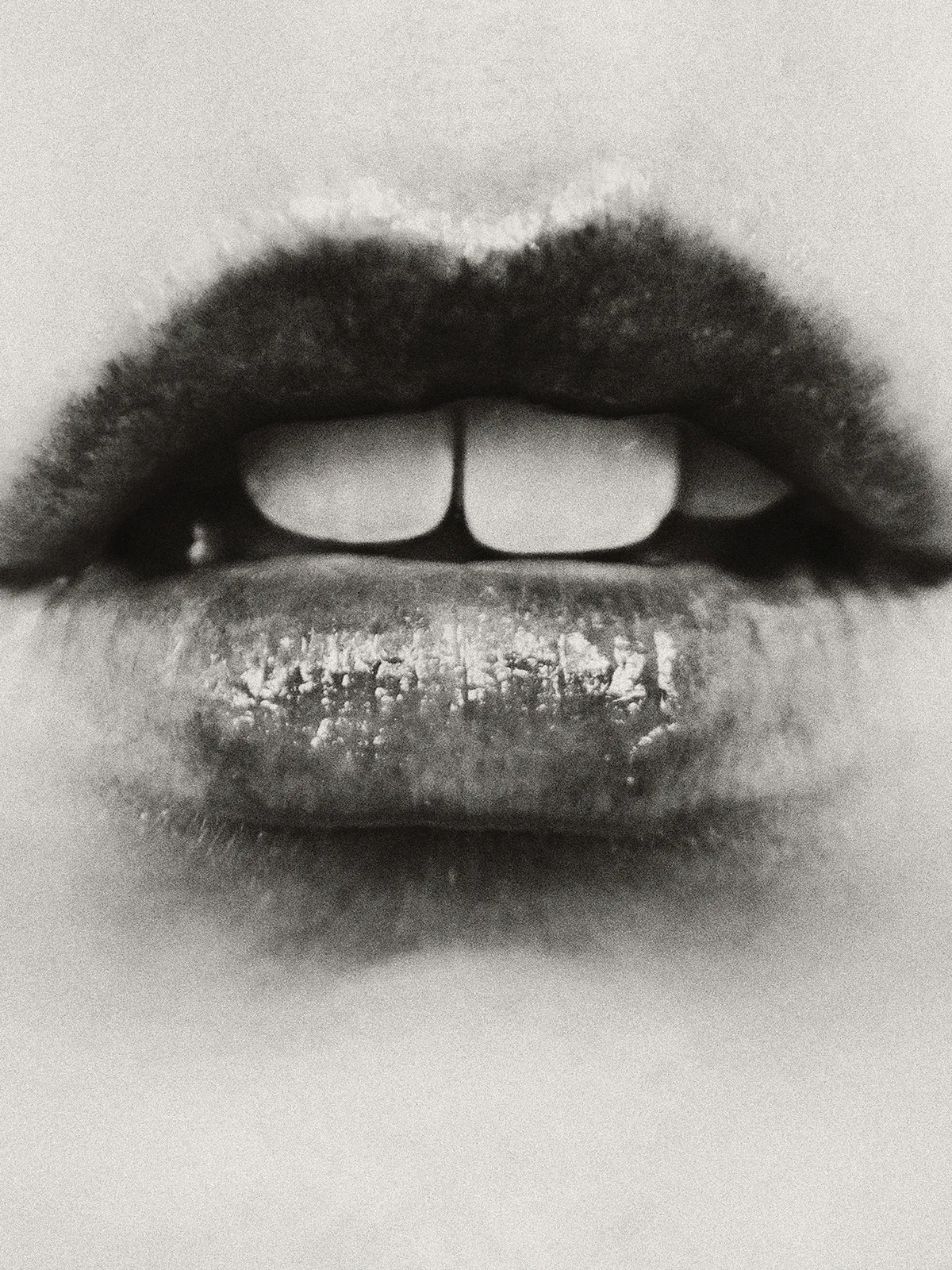 NEELTJE DE VRIES, CRAVING, 2023