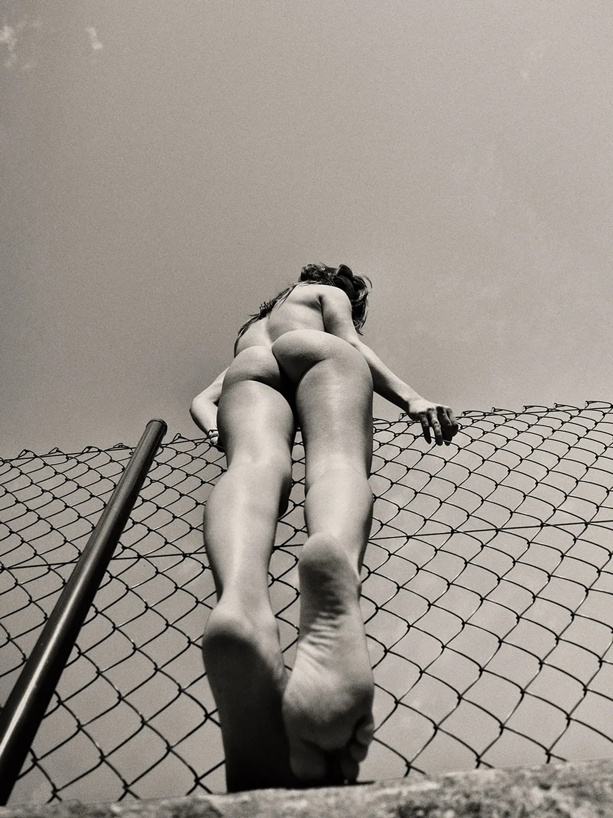 NEELTJE DE VRIES, RASCAL, 2024