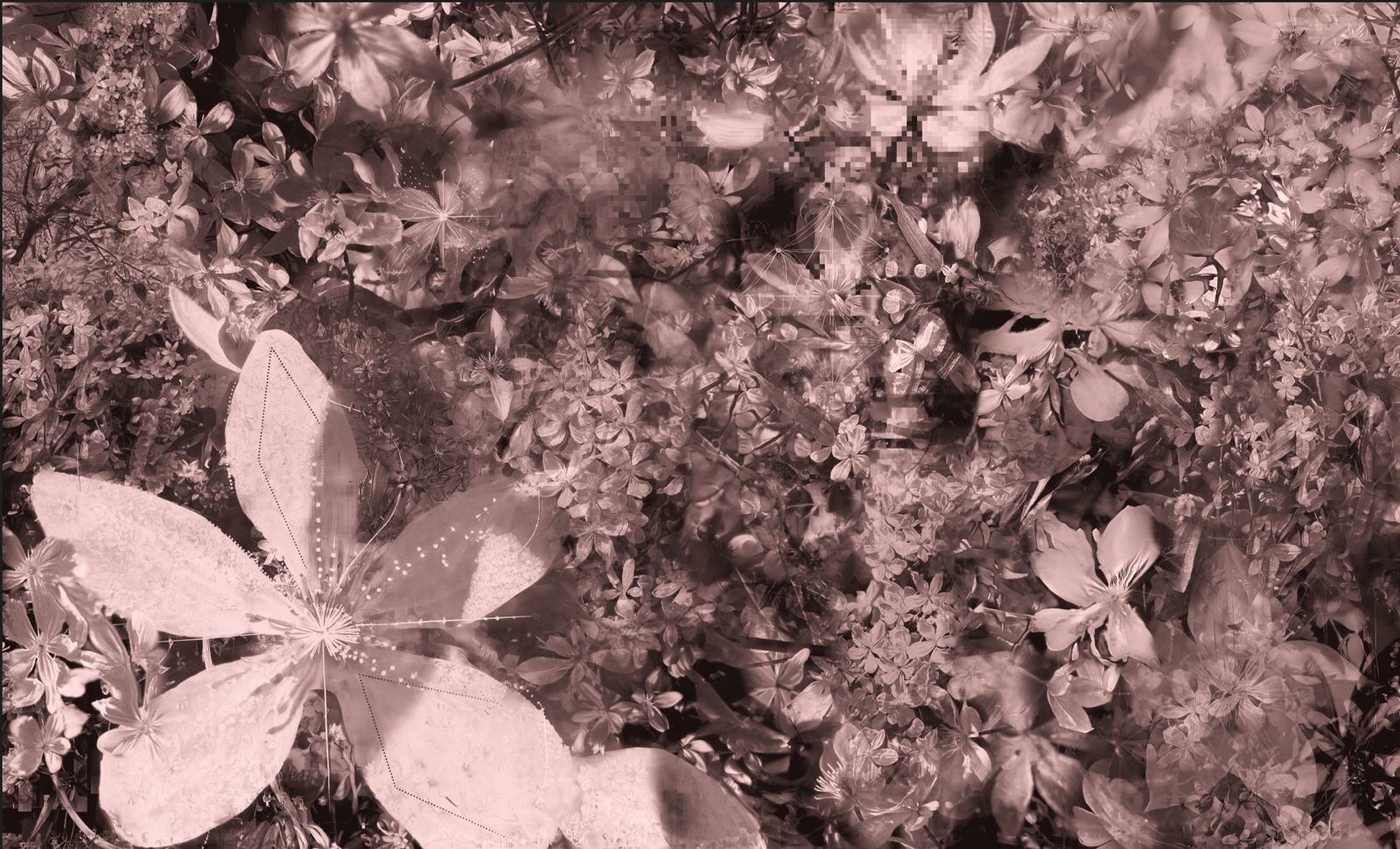 Sofia Crespo and Anna Ridler, 3.31424e+126 : clematis armandii, 2025