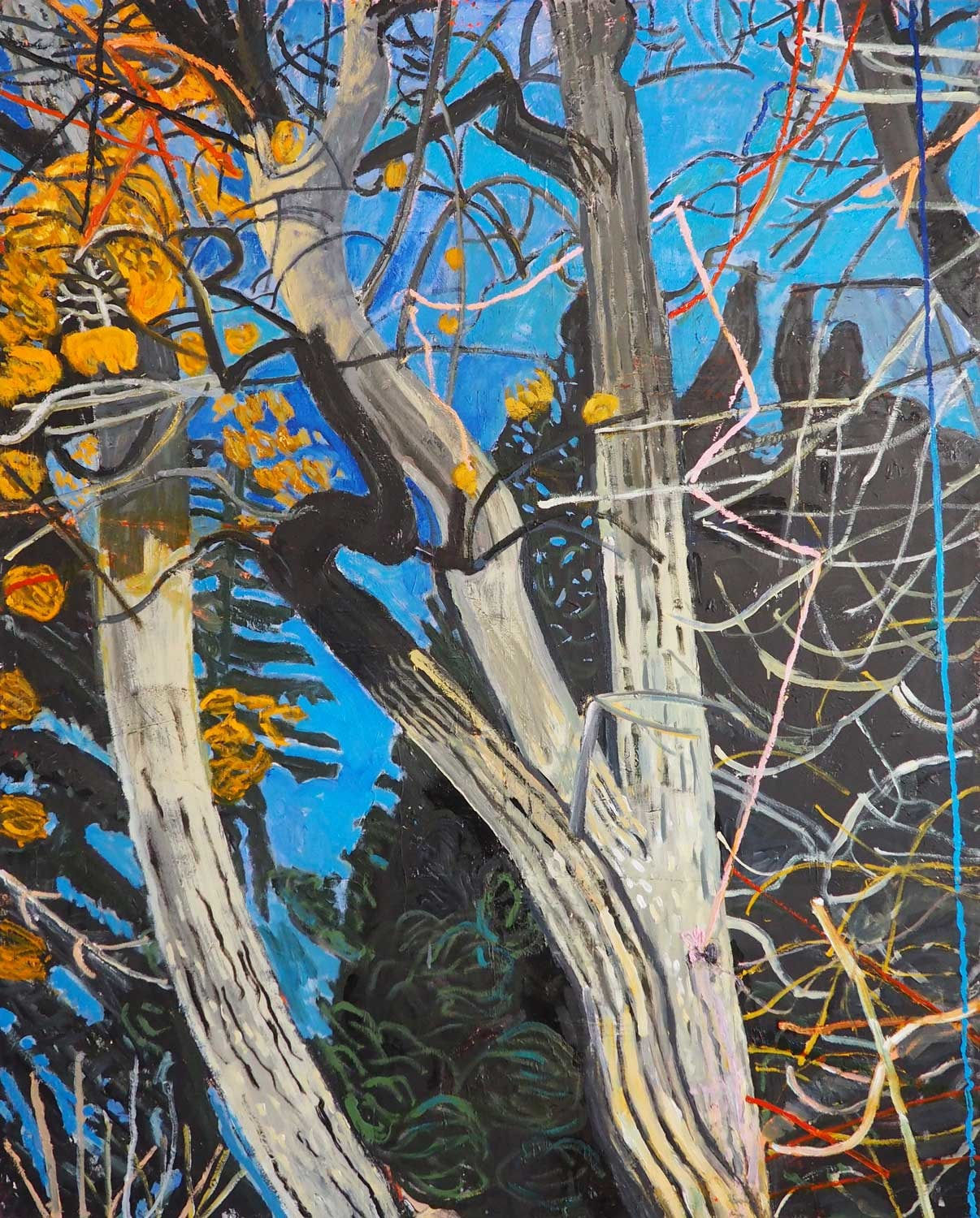 Lydia Farrell, Tanglewood, 2020