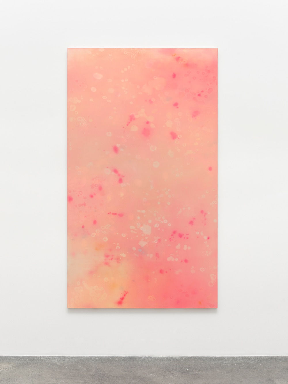 Rebecca Lindsmyr, Untitled (Plansch #6), 2022