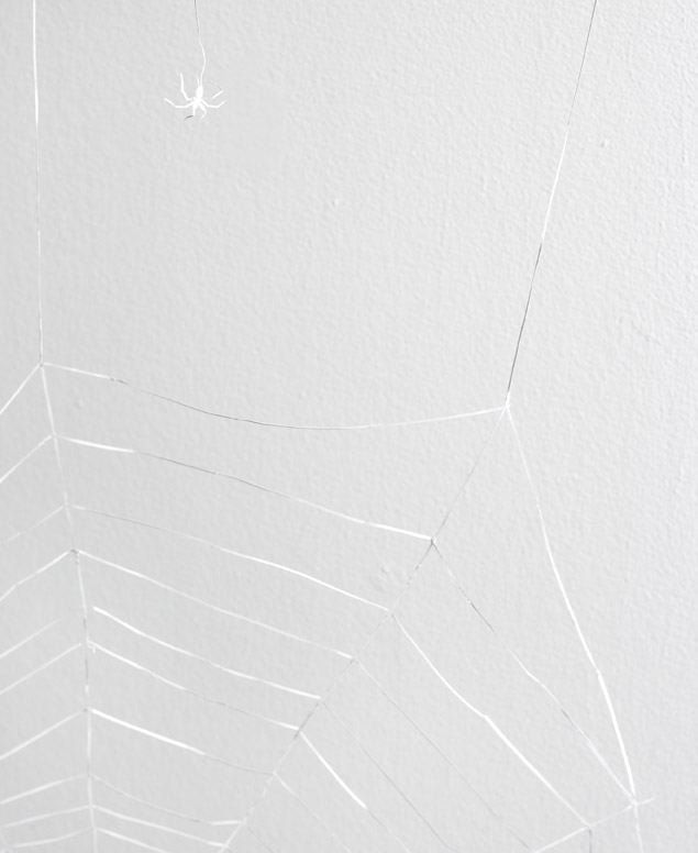 Peter Callesen, Expanded Notion, 2005