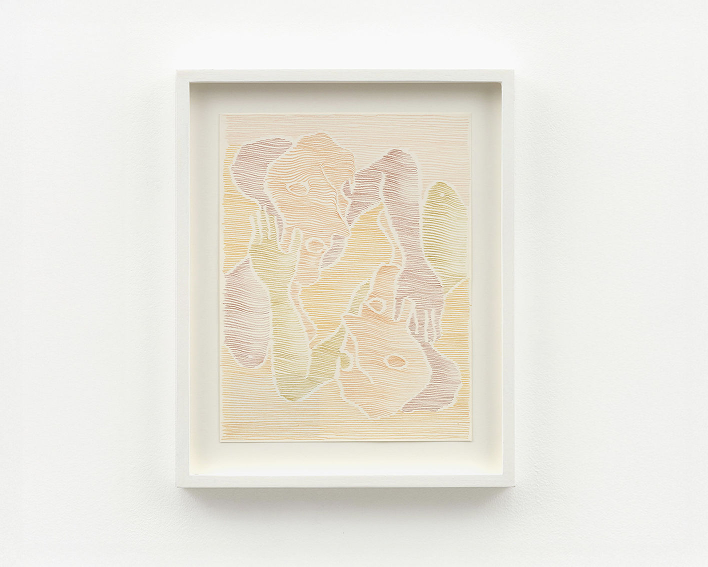 Carlos Amorales, Celebrity Pet 9, 2019