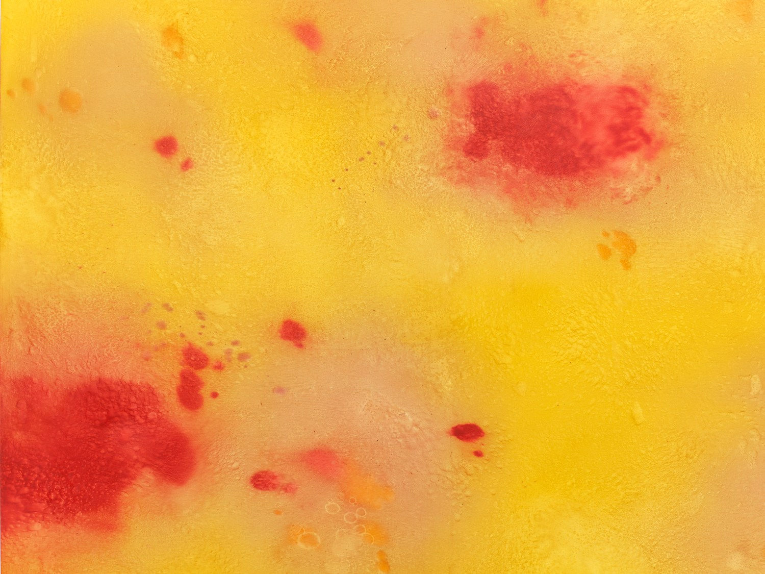 Rebecca Lindsmyr, Untitled (Plansch #10), 2022