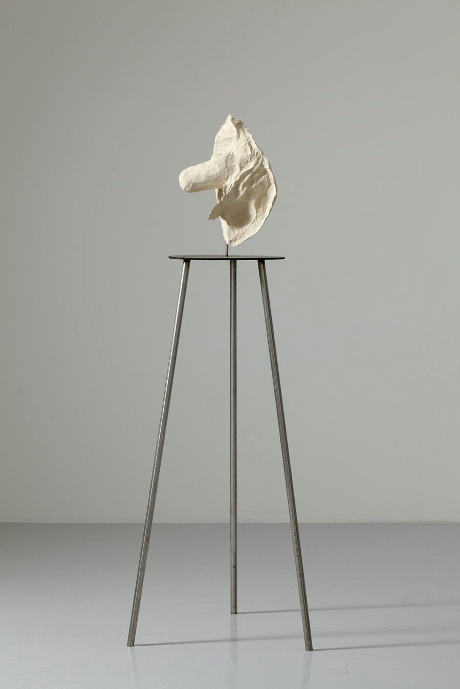 Jone Kvie, Sculpted Gas #5, 2009