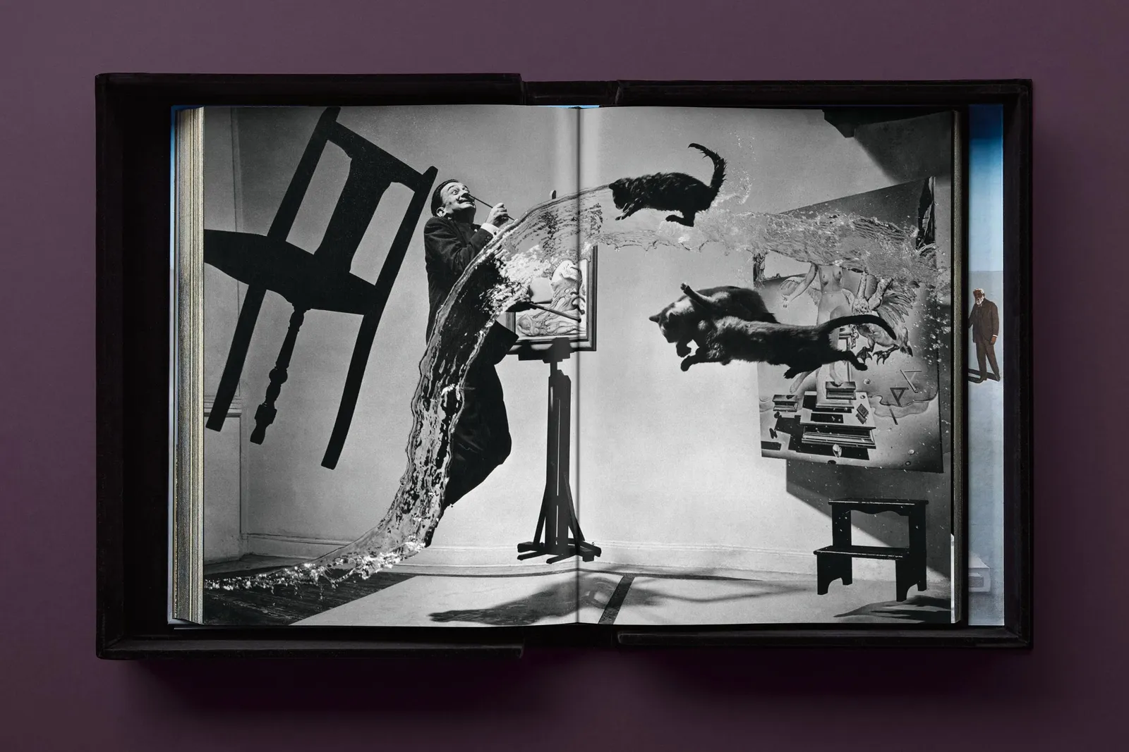 Salvador Dalí, Baby SUMO, 2025