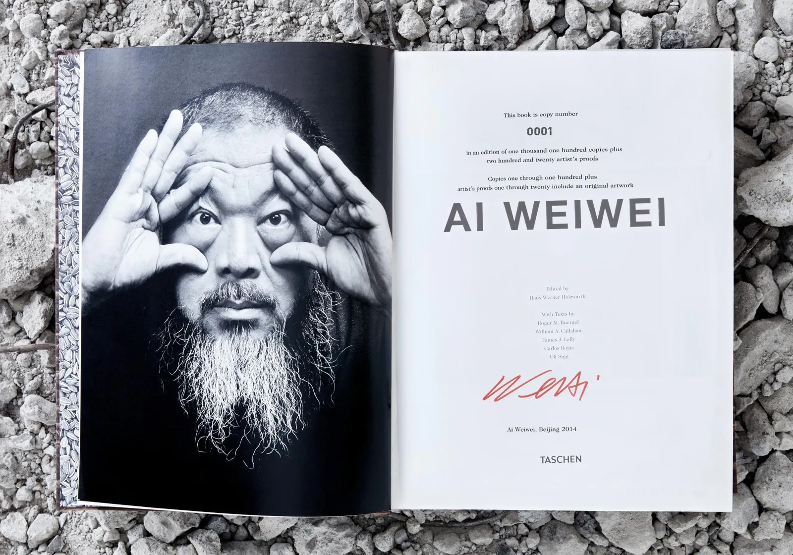 Ai Weiwei, Collector's Edition, 2014