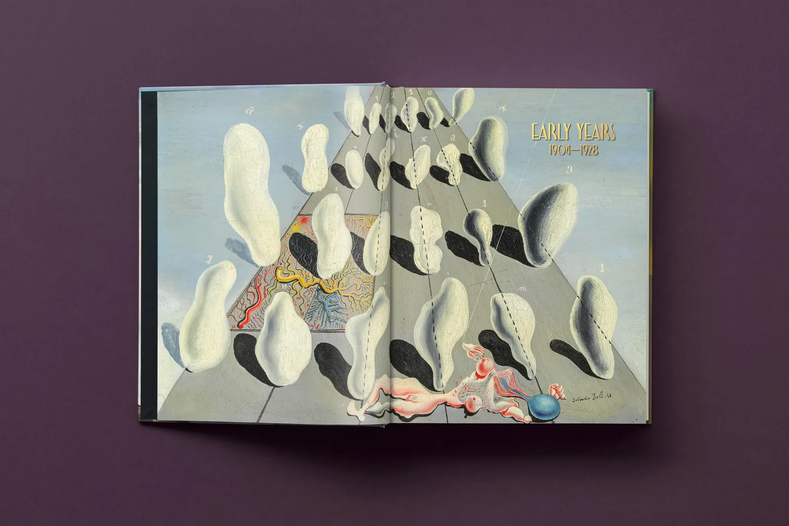 Salvador Dalí, Baby SUMO, 2025