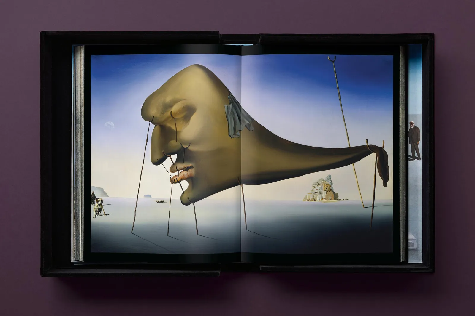 Salvador Dalí, Baby SUMO, 2025