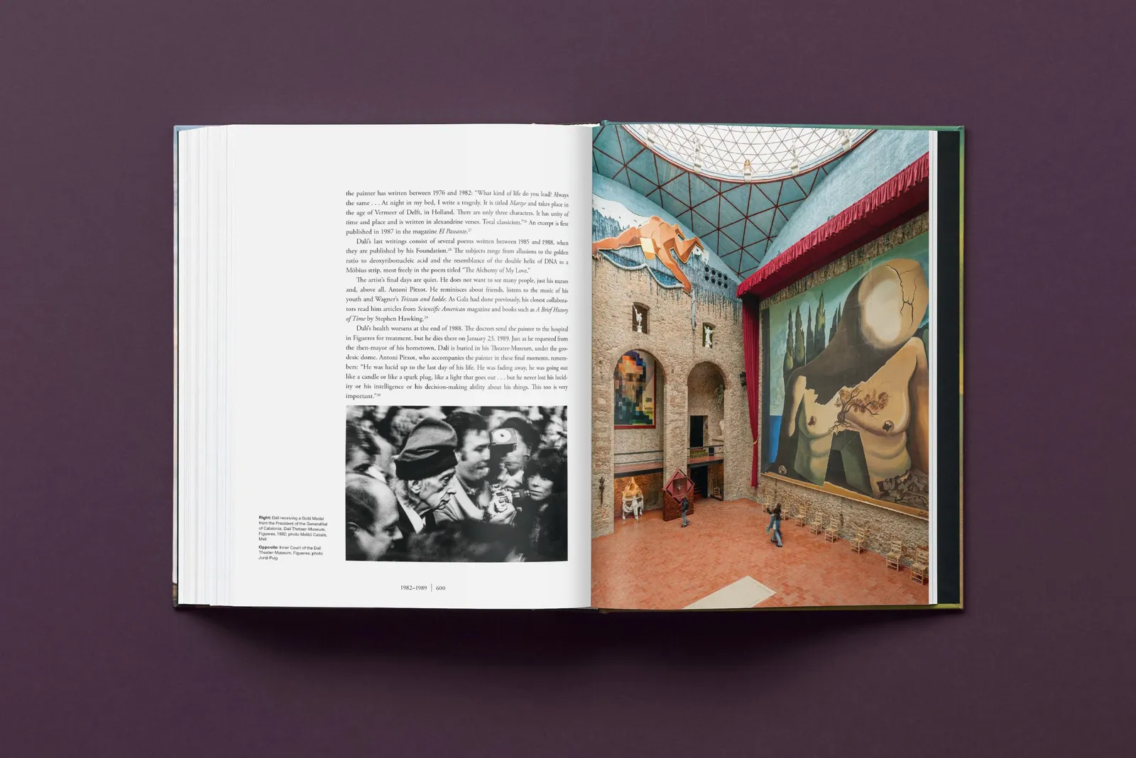 Salvador Dalí, Baby SUMO, 2025