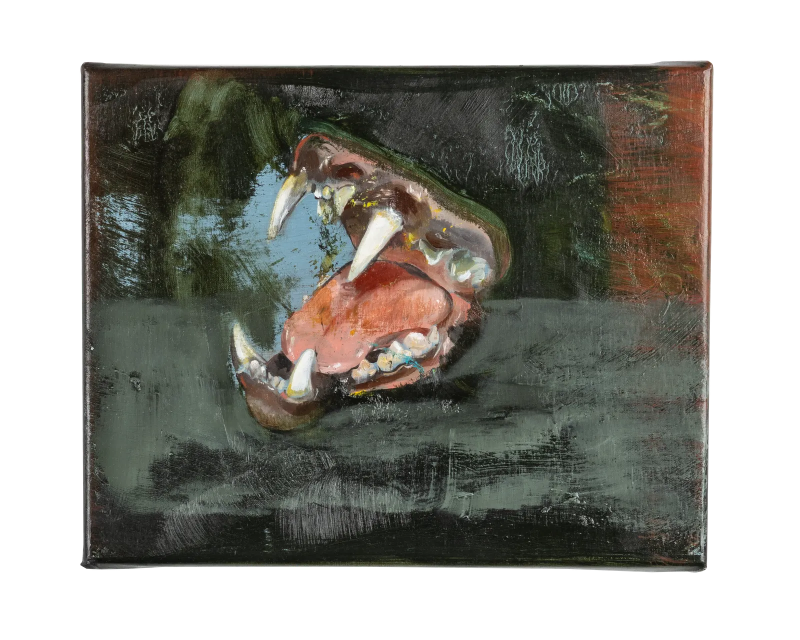 Guy Slabbinck, Maul, 2024-2025