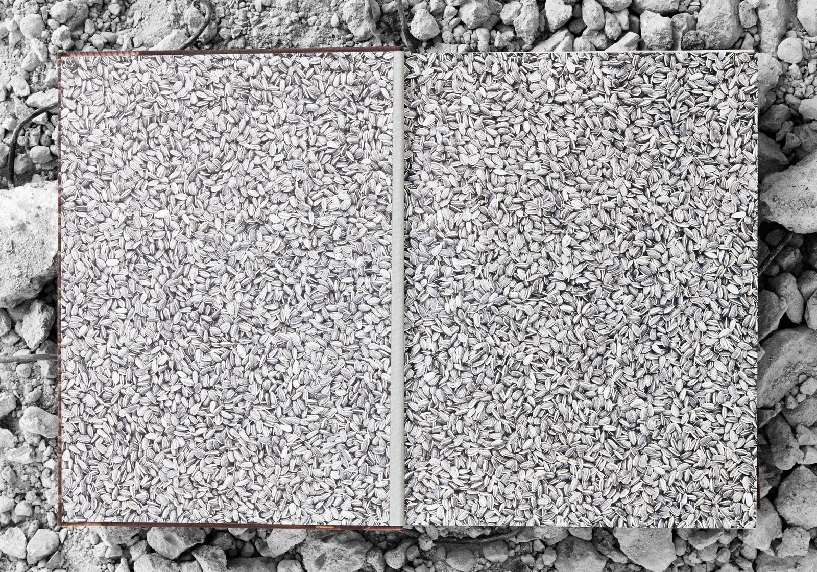 Ai Weiwei, Collector's Edition, 2014