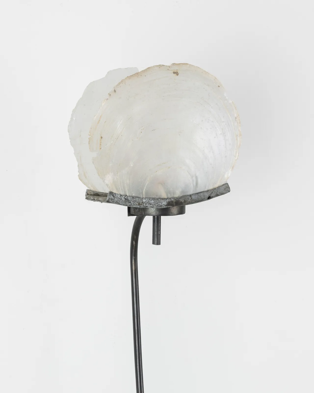 Anthony Leenders, Lampionne III, 2025