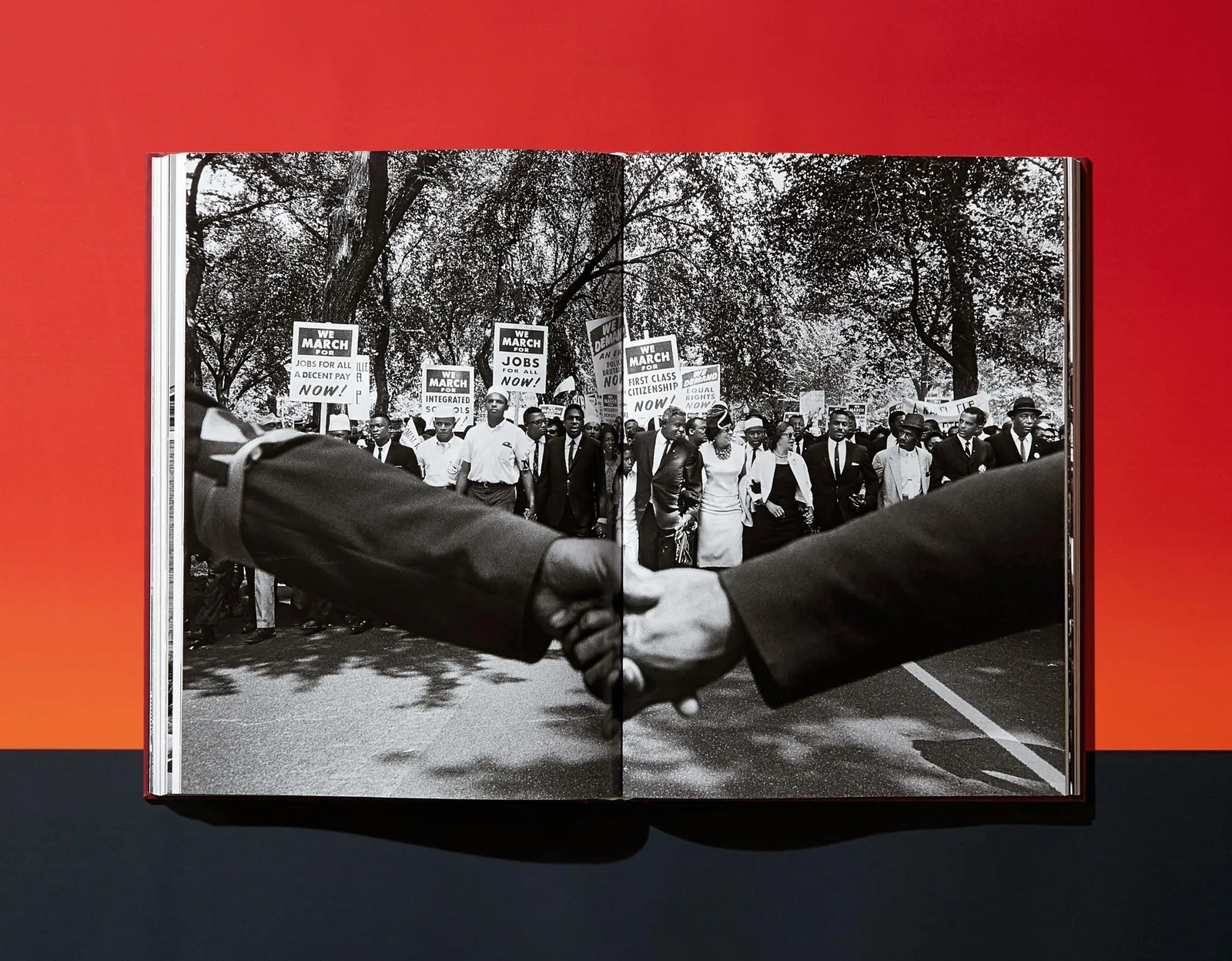 James Baldwin, James Baldwin. TheFire Next Time, Art Edition No. 1–50, Steve Schapiro ‘Martin Luther King Jr.’, 2017