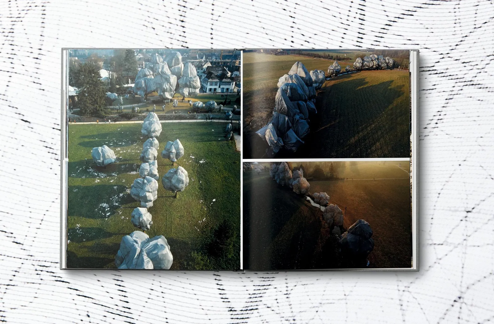 Christo and Jeanne-Claude, Christo and Jeanne-Claude. Wrapped Trees. Basel 1997–1998, 1999