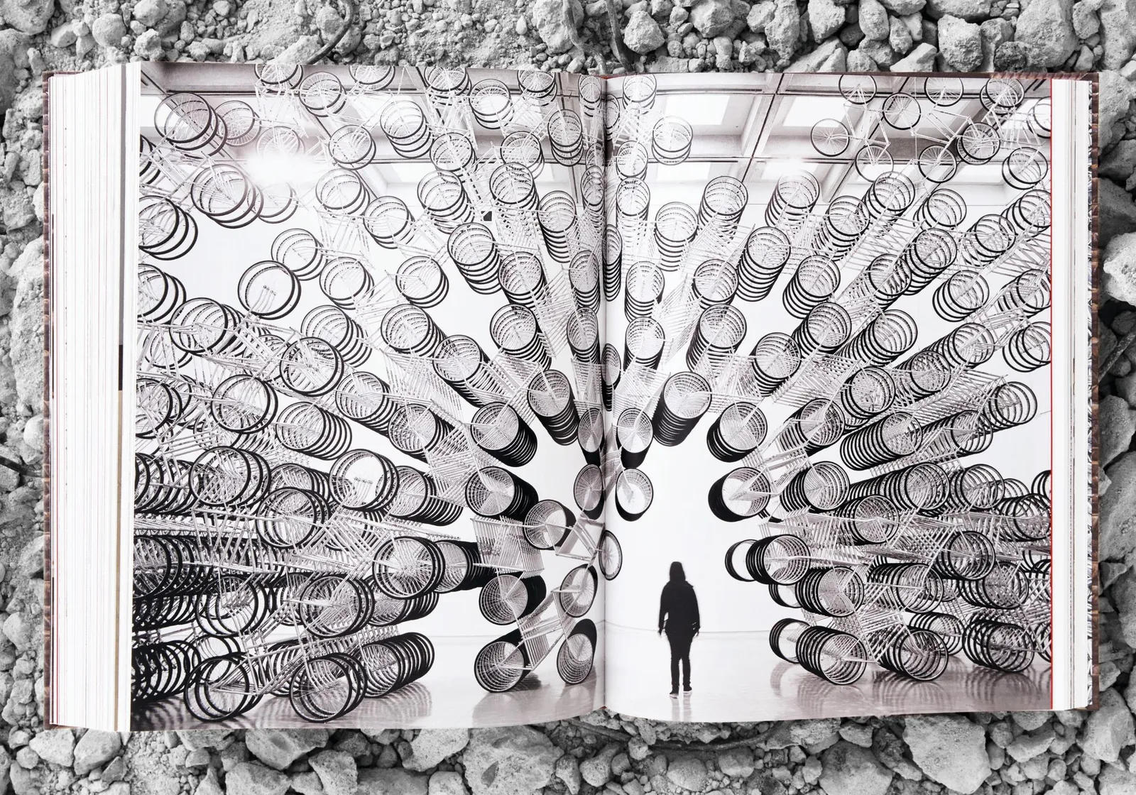 Ai Weiwei, Collector's Edition, 2014