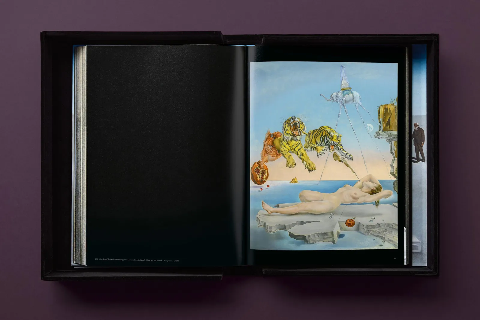 Salvador Dalí, Baby SUMO, 2025