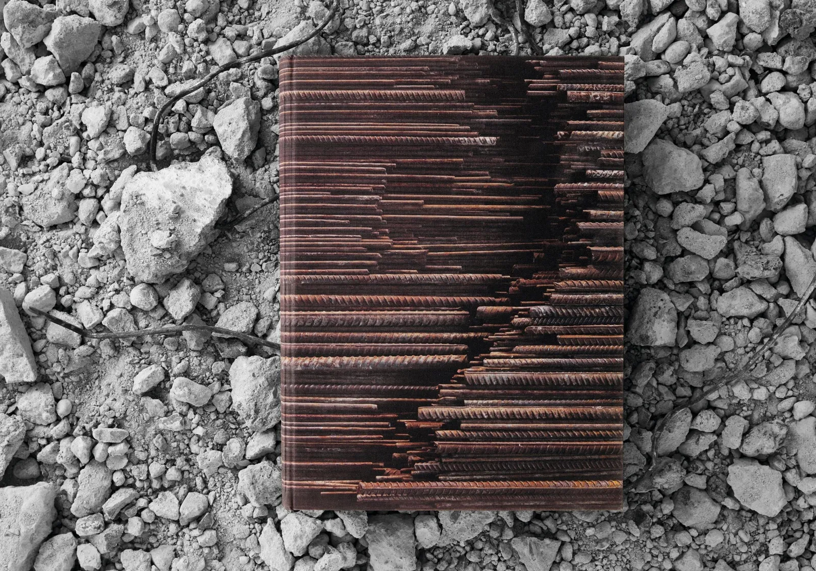 Ai Weiwei, Collector's Edition, 2014