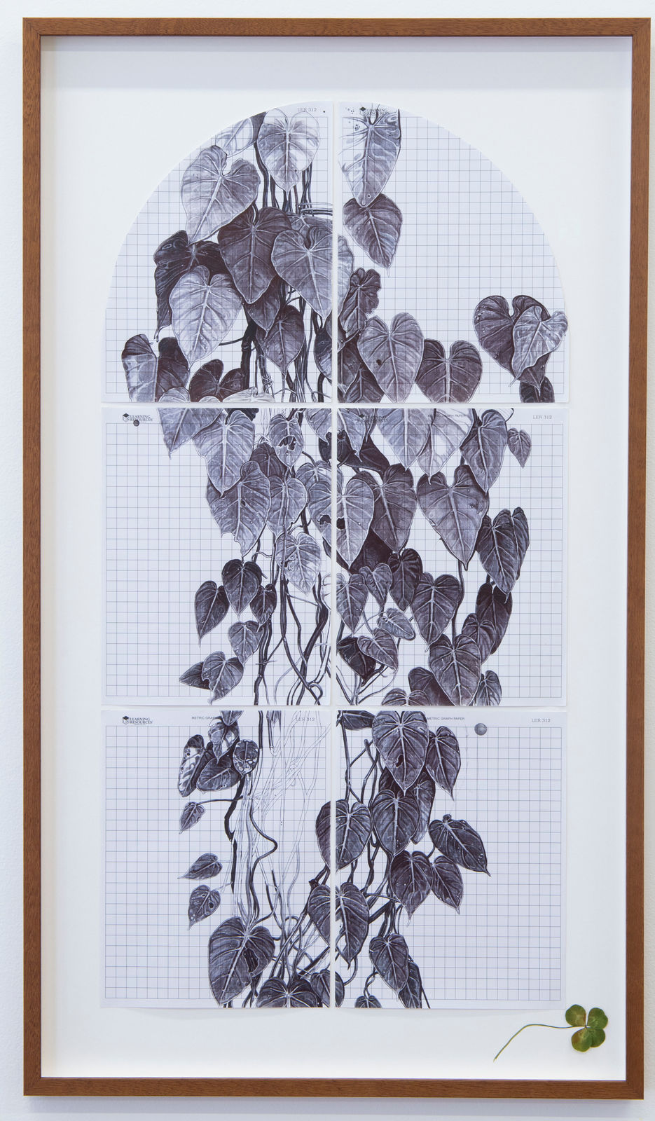 Neva Hosking, A Curtain Of Philodendron Micans At The Caravan Park, South Mission Beach, 2024