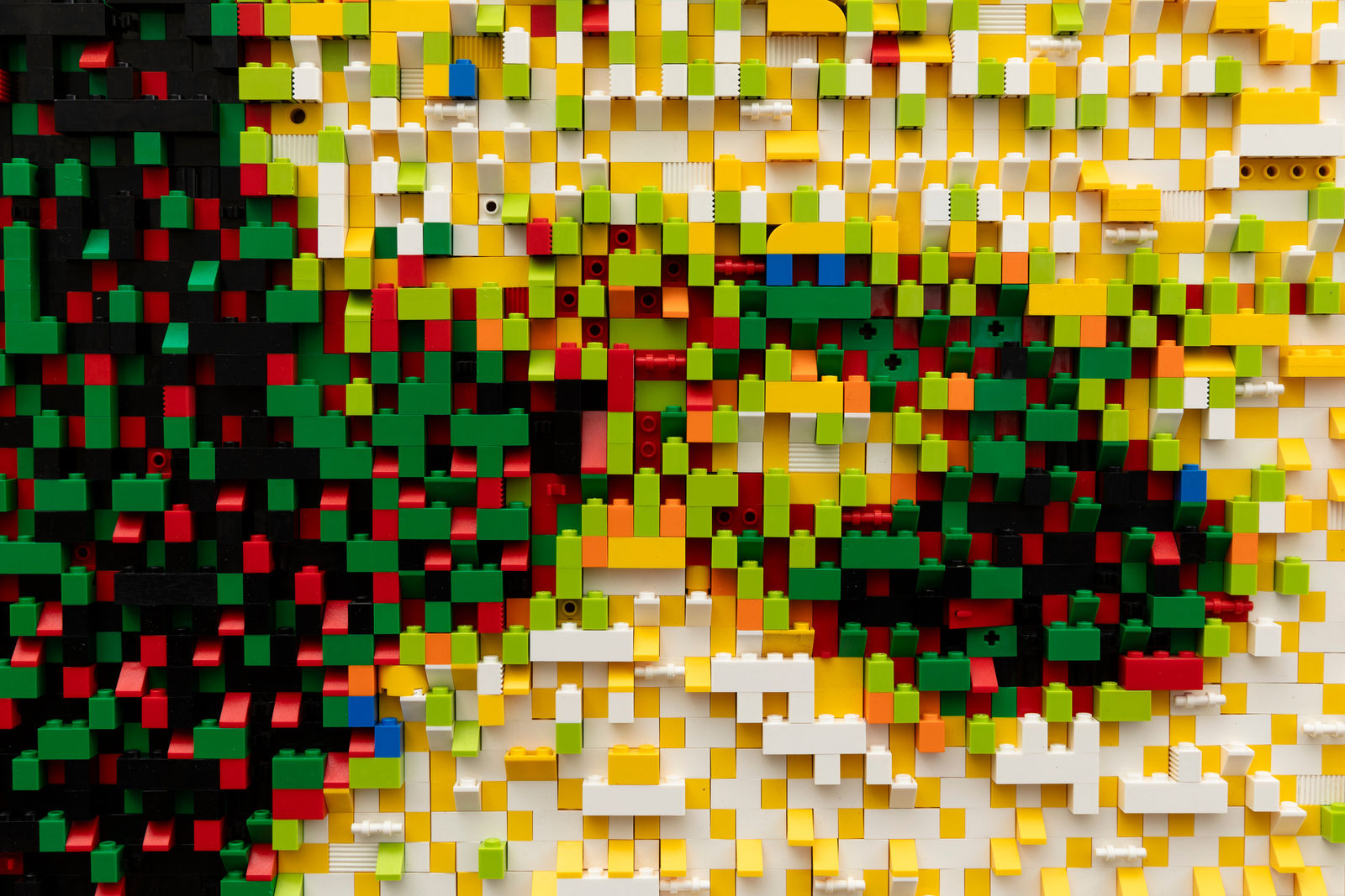 Claire Healy & Sean Cordeiro, The Surgeon’s Photo, 2023