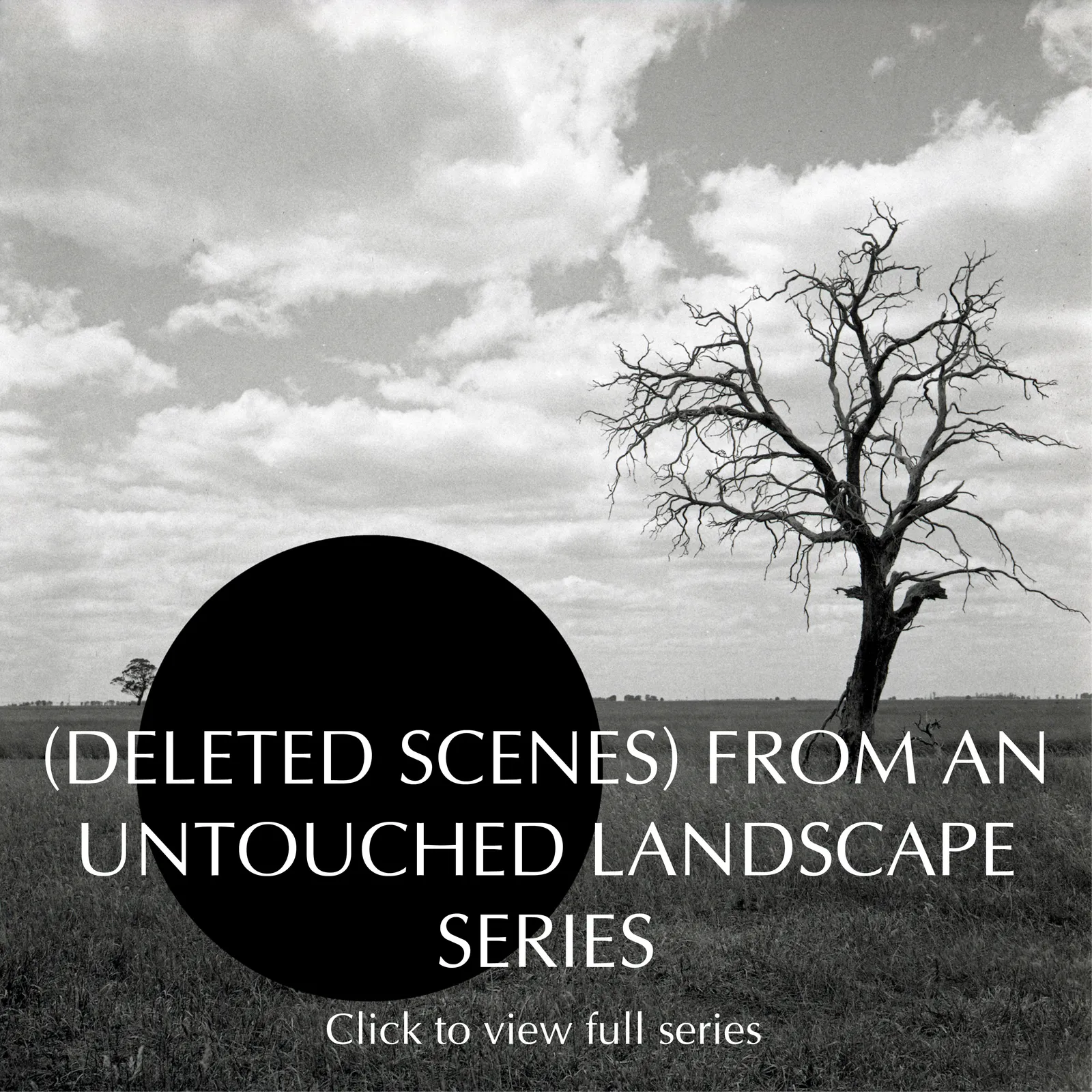 James Tylor, (Deleted Scenes) From an Untouched Landscape series, 2013