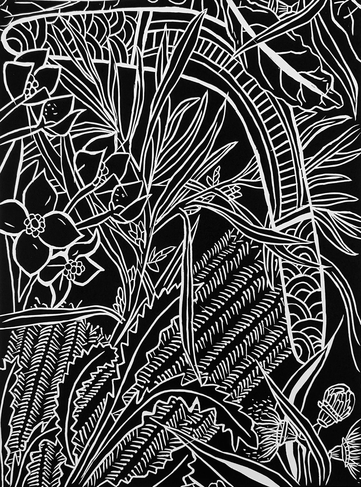 Kyra Mancktelow, Minjerribah flora, 2023