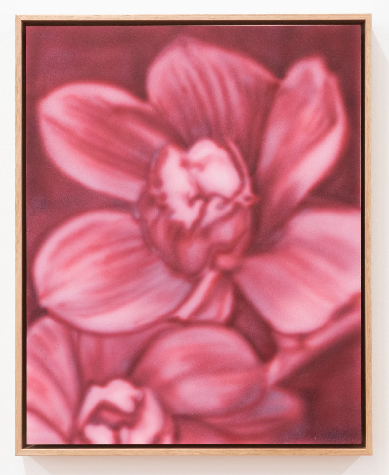 Fiona Lowry, Orchid study 3, 2025