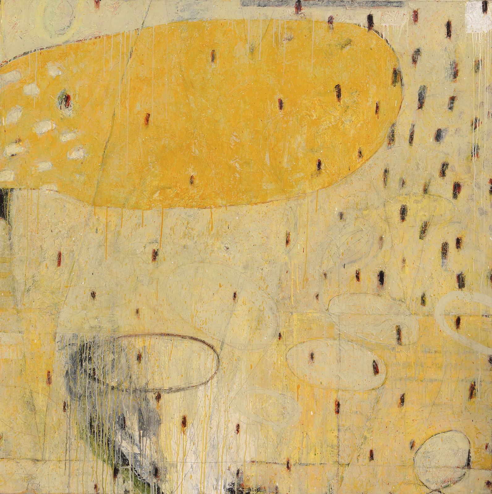 Kevin Tolman, From Above