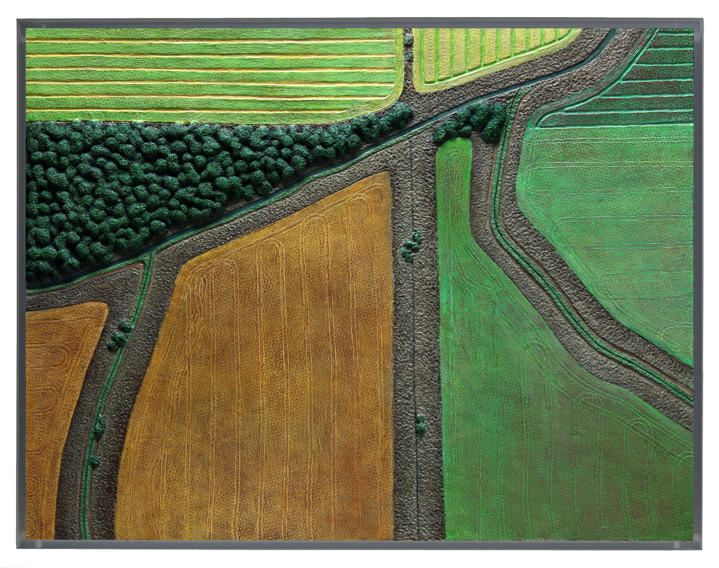 Diana Moore, FIeld Geometry 2.2