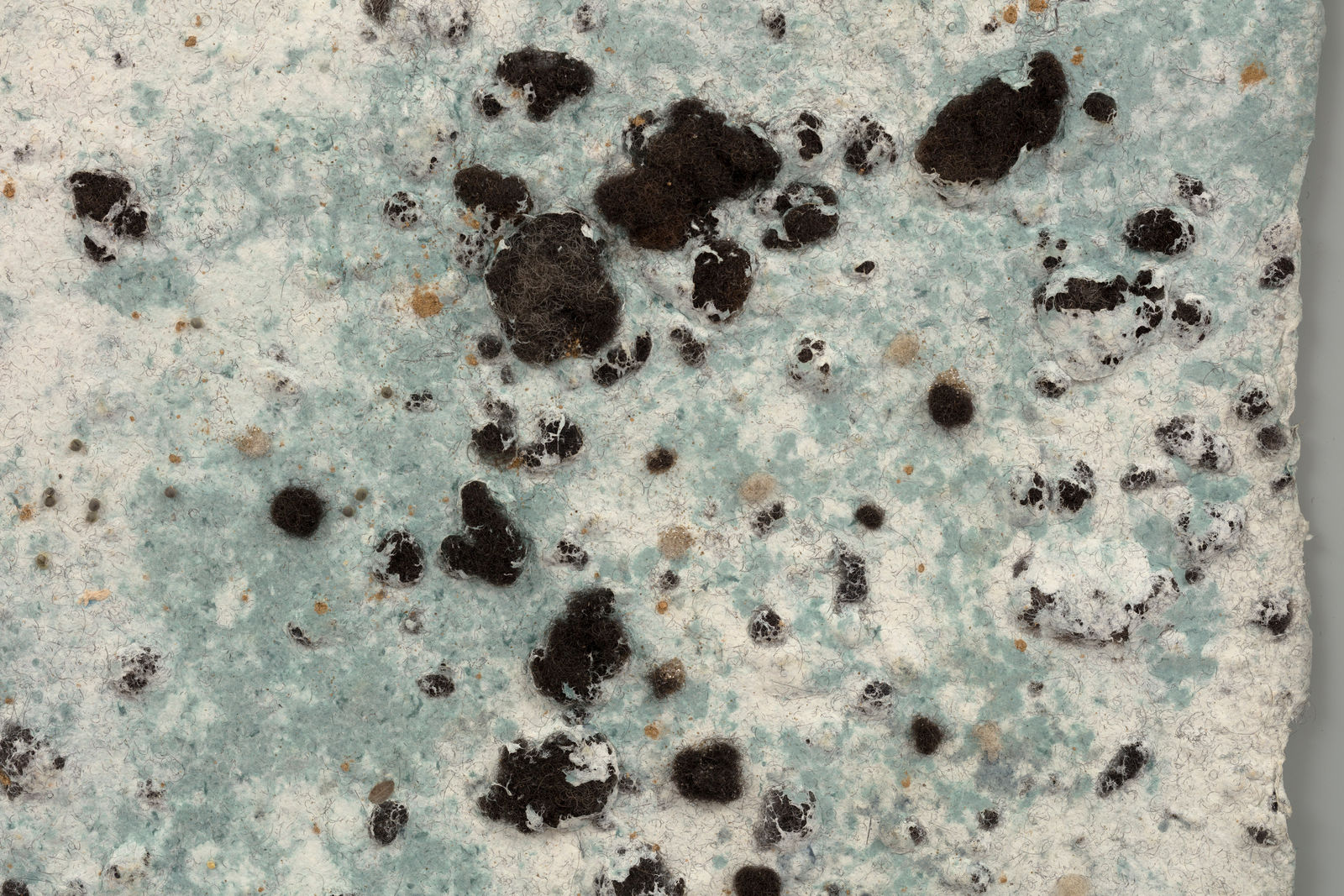 Adebunmi Gbadebo, With the Wind and Water, 2025