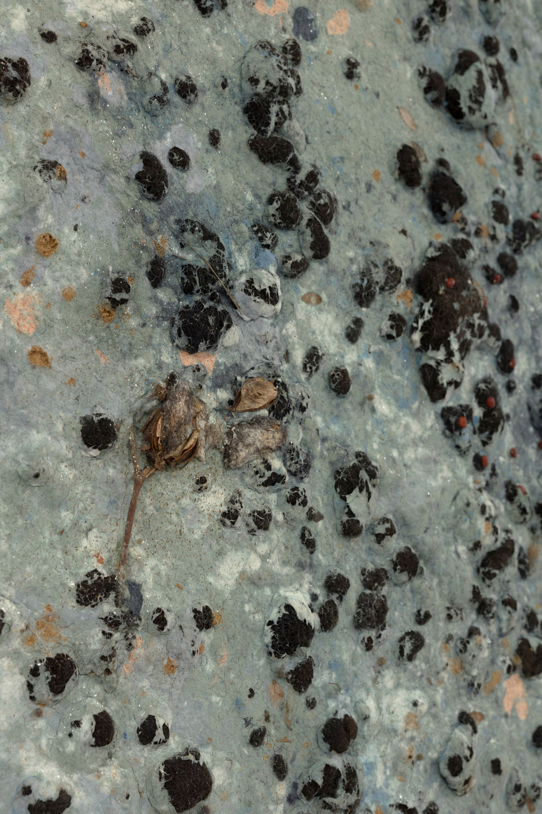 Adebunmi Gbadebo, Blowing Through My Ears?, 2025