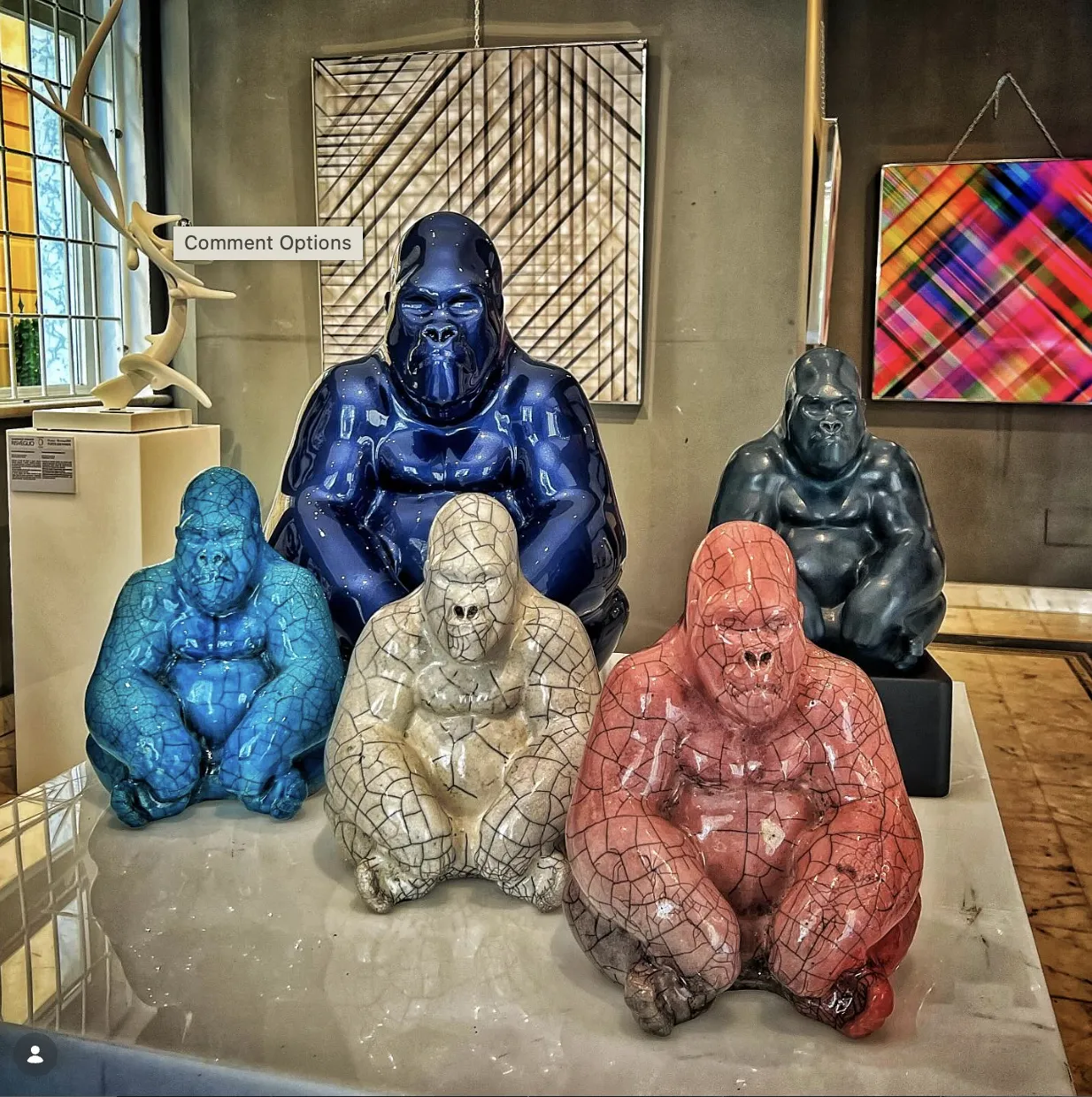 Giuseppe Maiorana, Gorilla Raku Azzurro, 2024