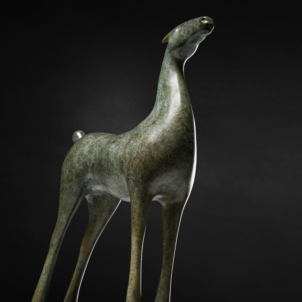 Giuseppe Maiorana, Wild Horse, 2019