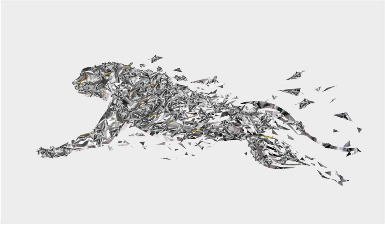 Yana Rusnak, Silver Guepard, 2018