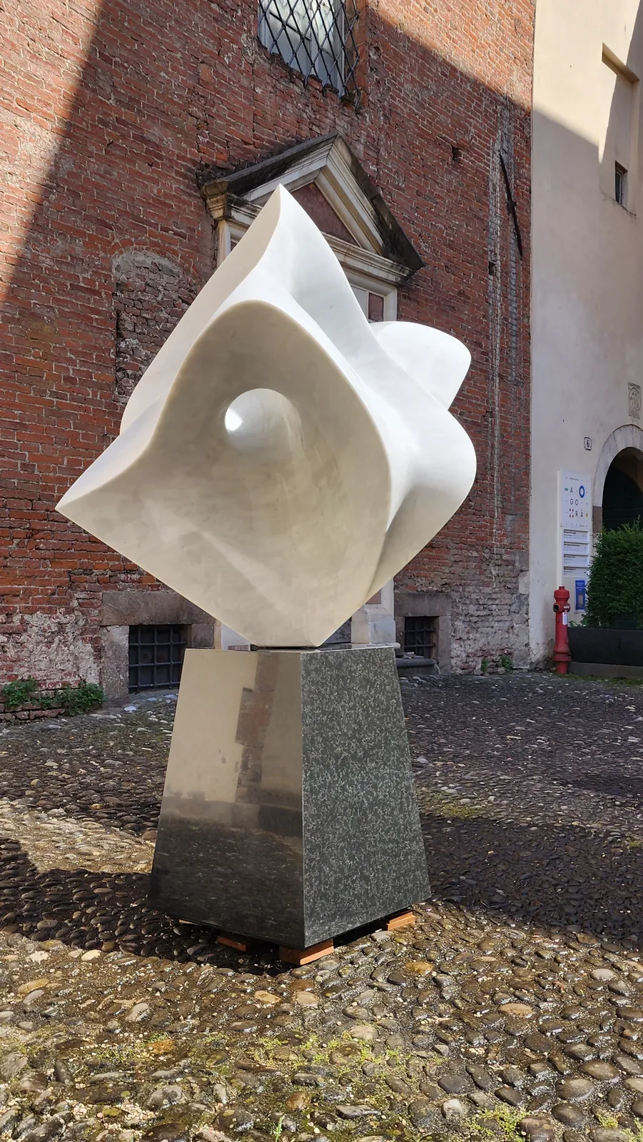 Gustavo Vélez, Fiore VI, 2025