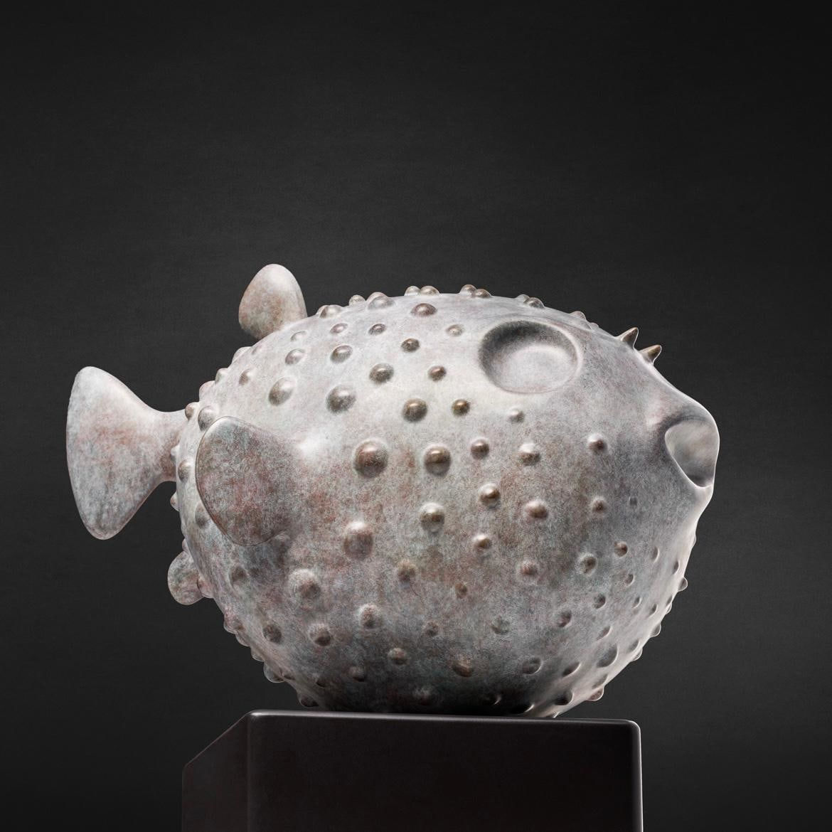 Giuseppe Maiorana, Pesce Palla, 2024