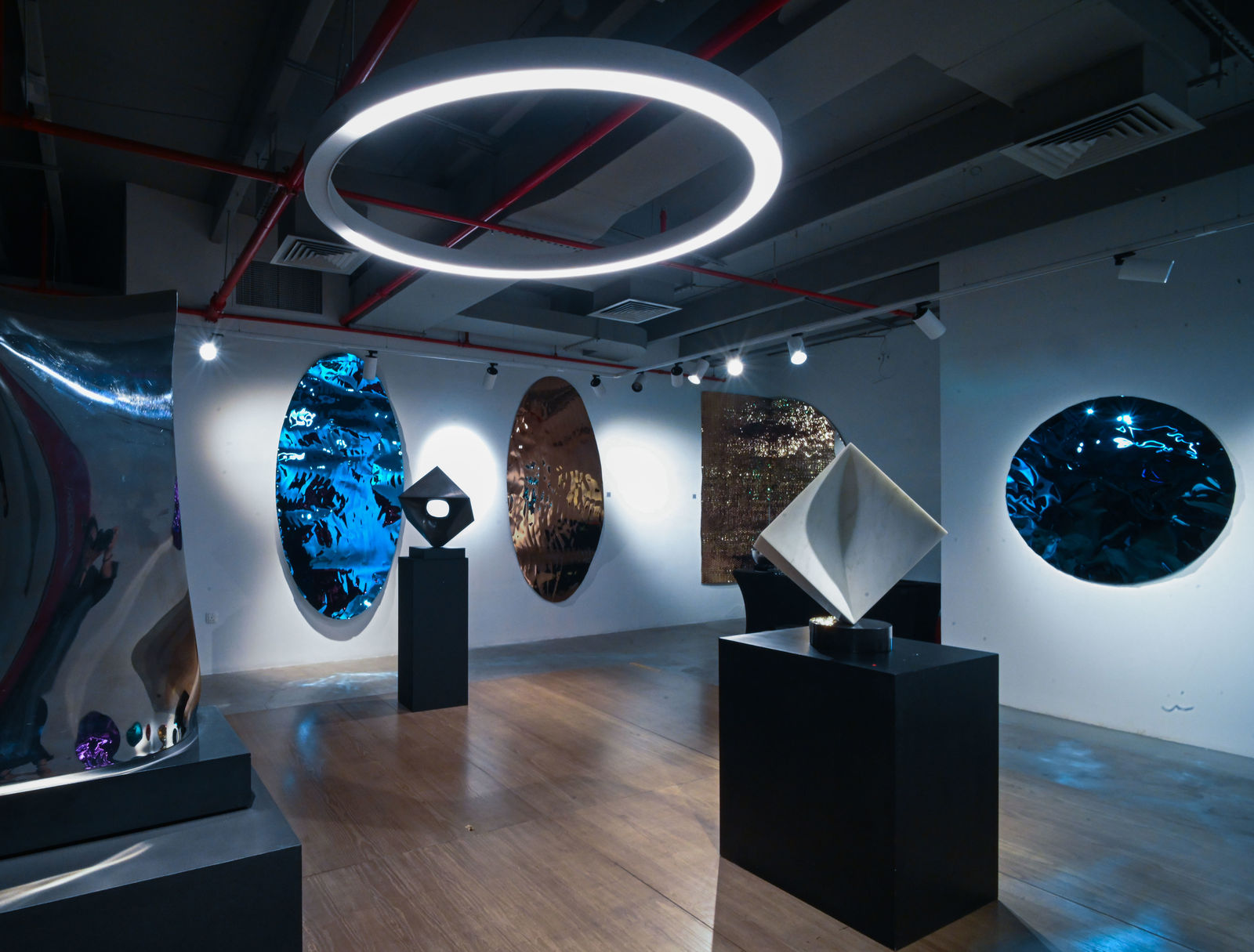 Hussain Jamil, Dual Echo - diptych, 2024