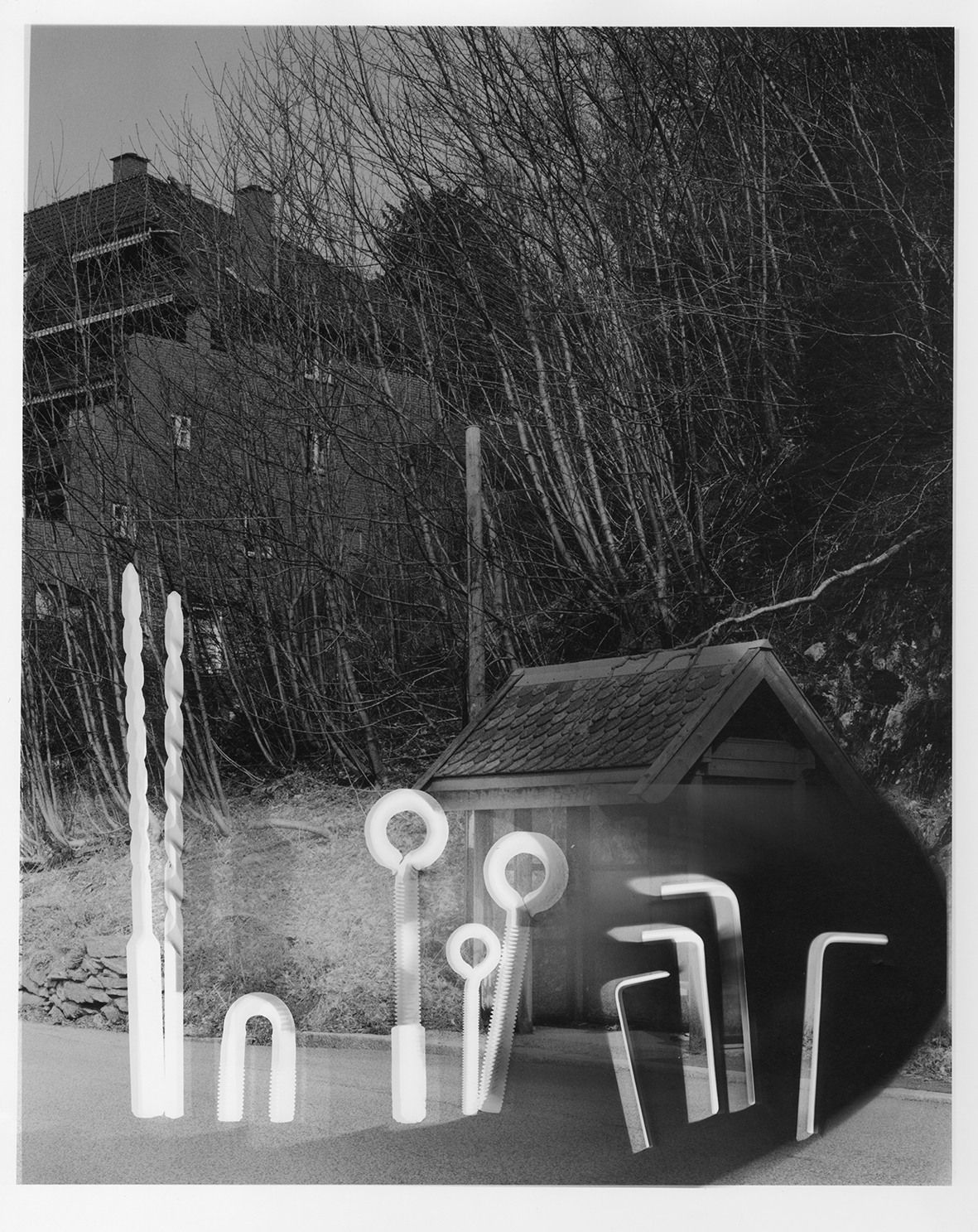 Claudia Hausfeld, Bergen Series #6, 2023