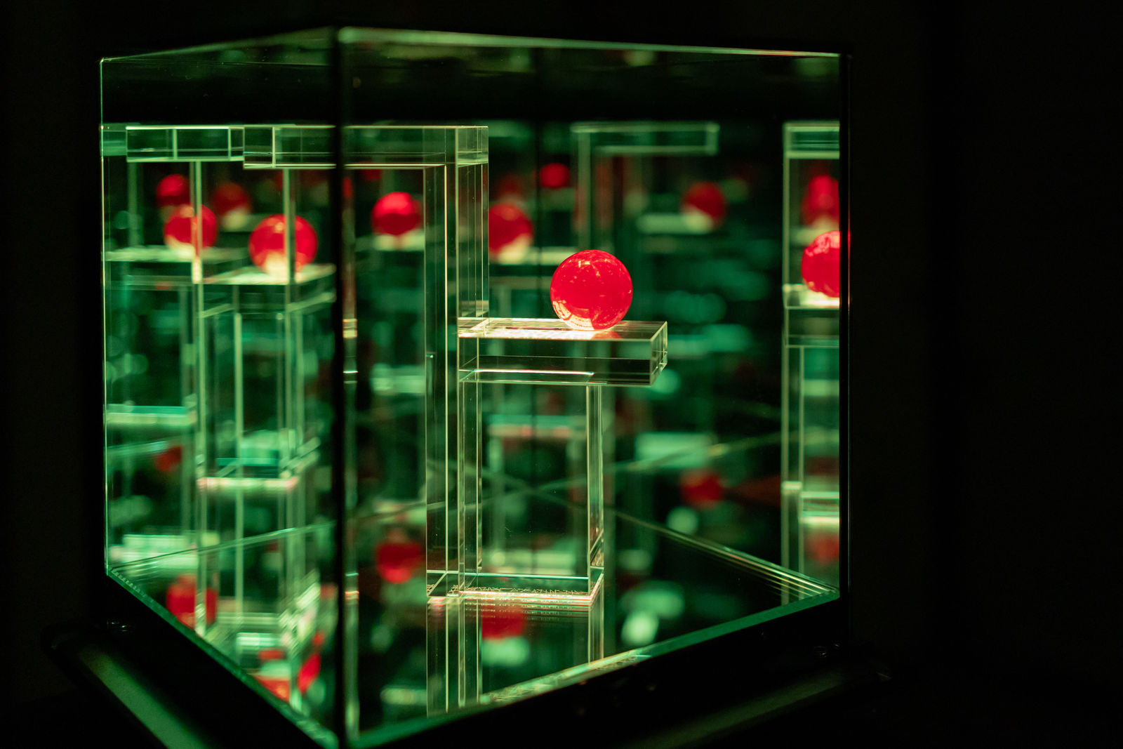 NagyMolnar, Geometric Cherry, 2024