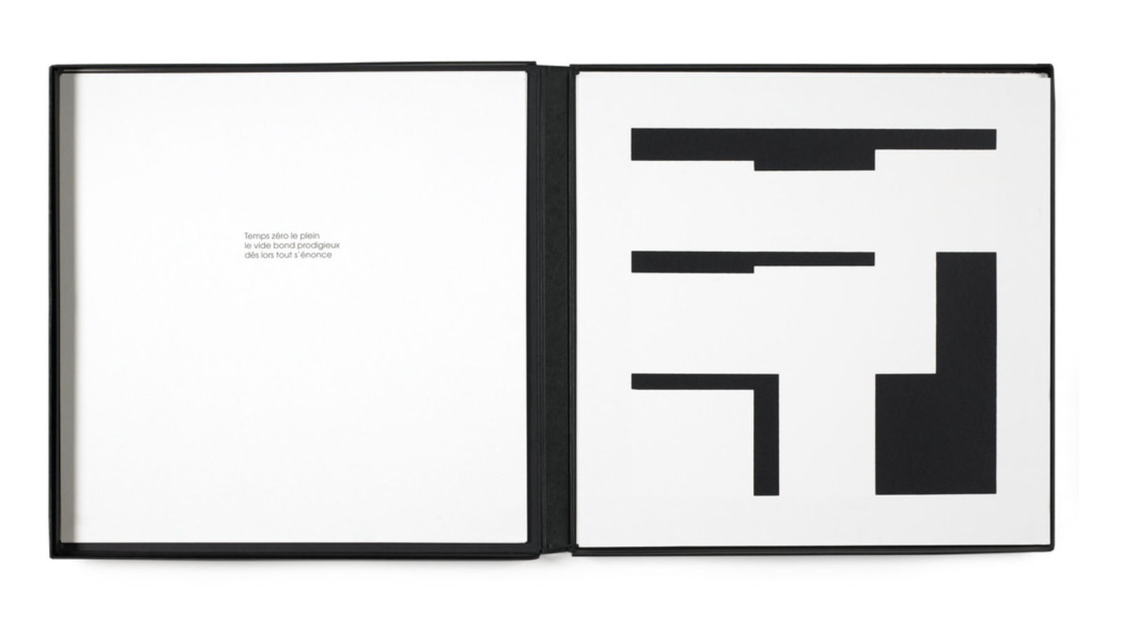 Aurelie NEMOURS, Noir demi rose (Portfolio complet), 1995