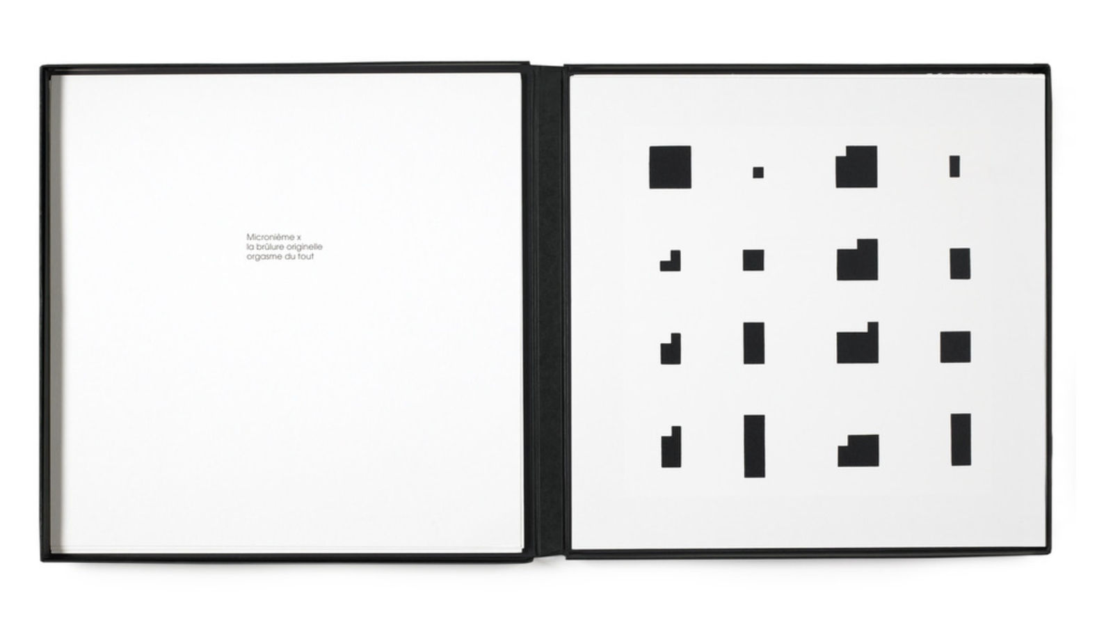 Aurelie NEMOURS, Noir demi rose (Portfolio complet), 1995