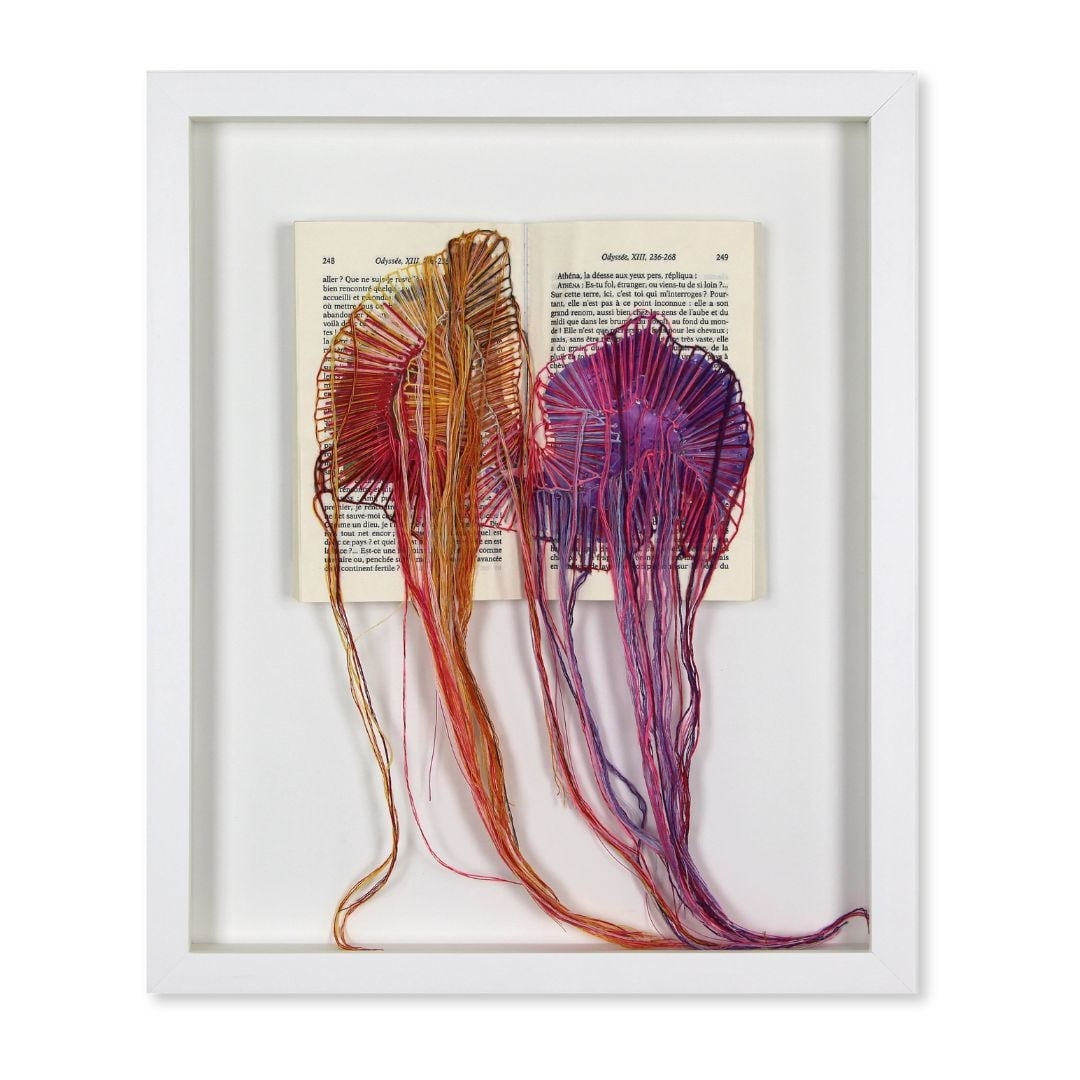 Brankica Žilović, Retour à Ithaque, 2024