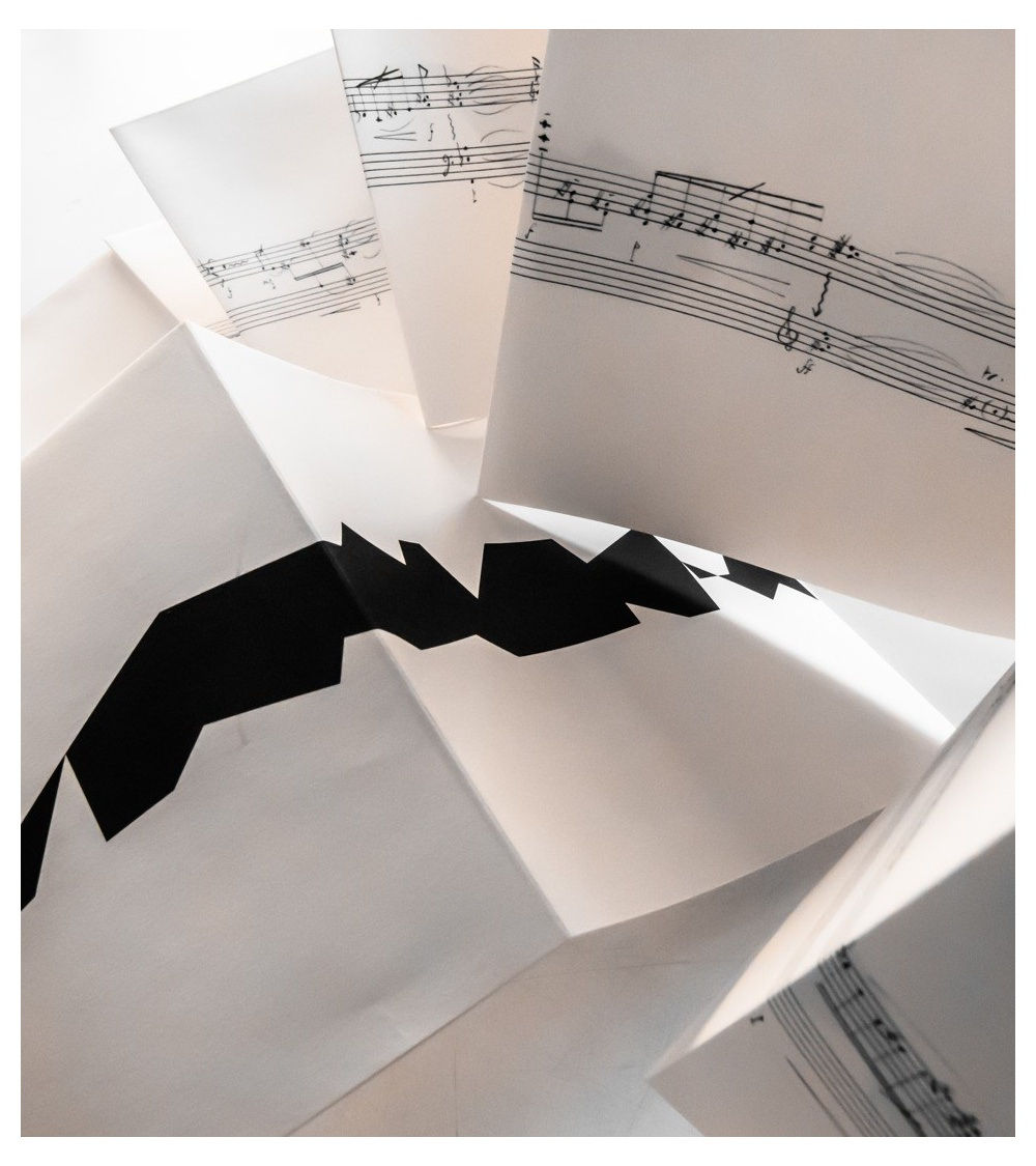 Vera MOLNAR, Ni queue ni tête, 2015