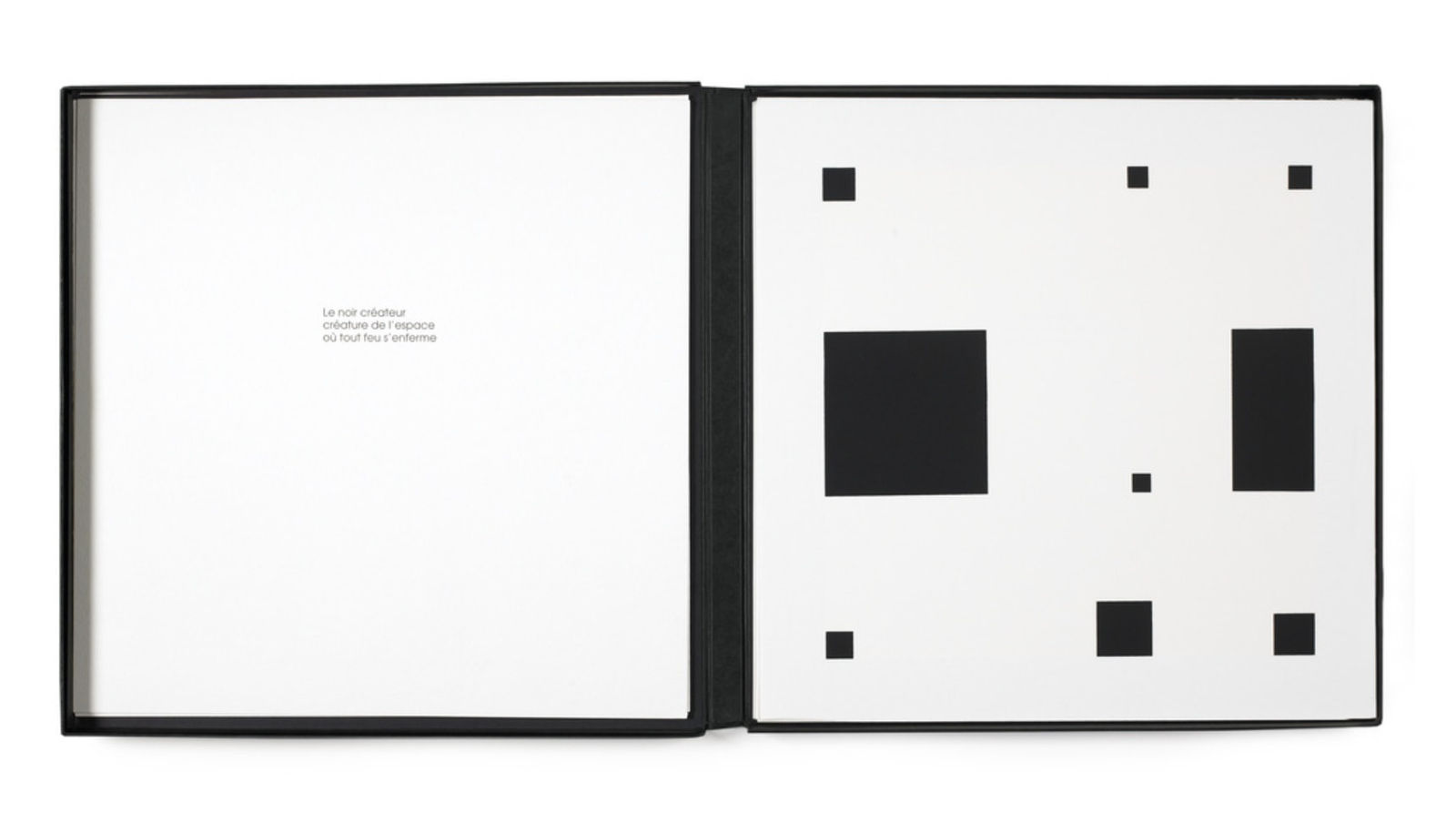 Aurelie NEMOURS, Noir demi rose (Portfolio complet), 1995