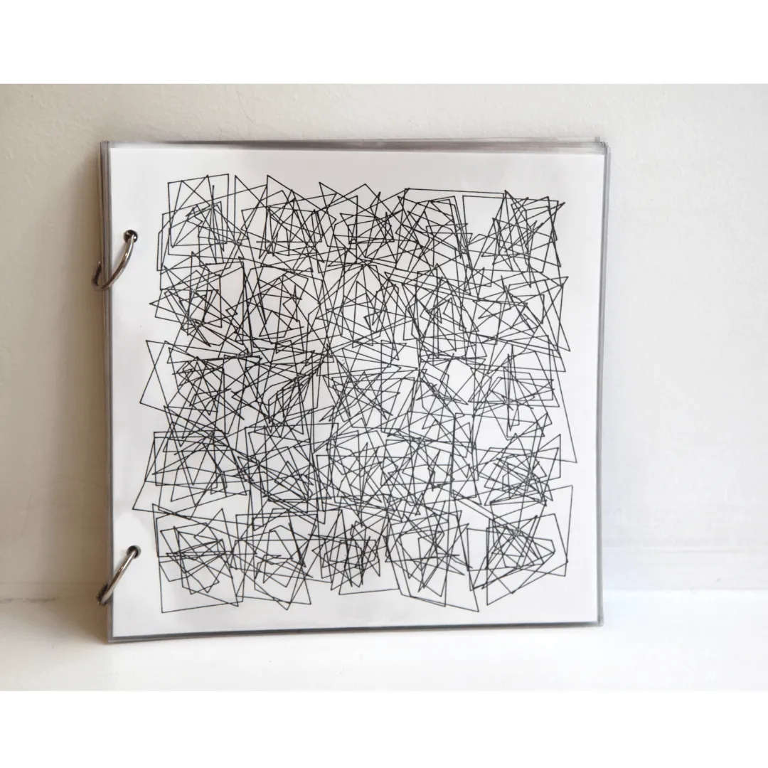 Vera MOLNAR, Transformations, étanche, 2010