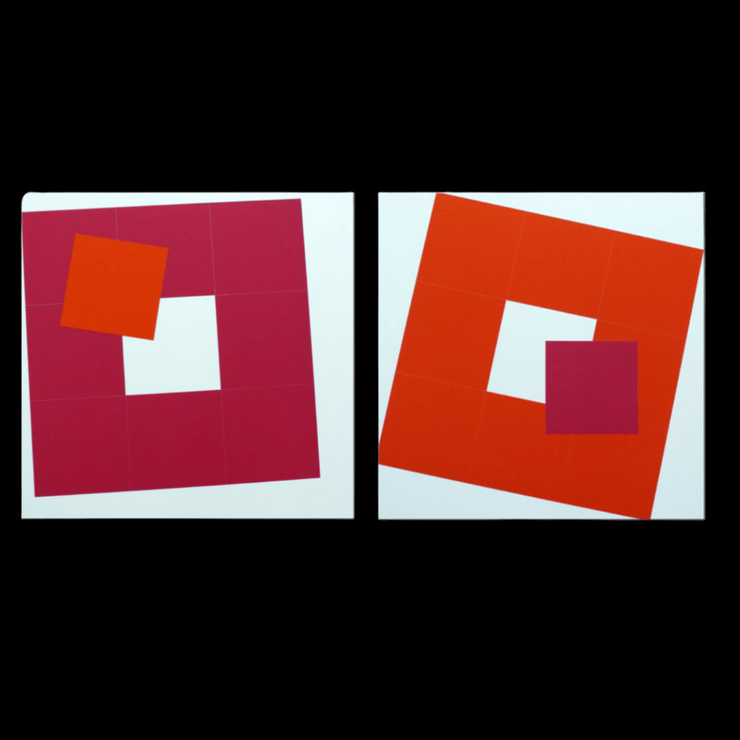 Vera MOLNAR, Deux se singularisent, 2008