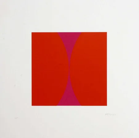 Vera MOLNAR, Fond-forme B, 1/15, 2010